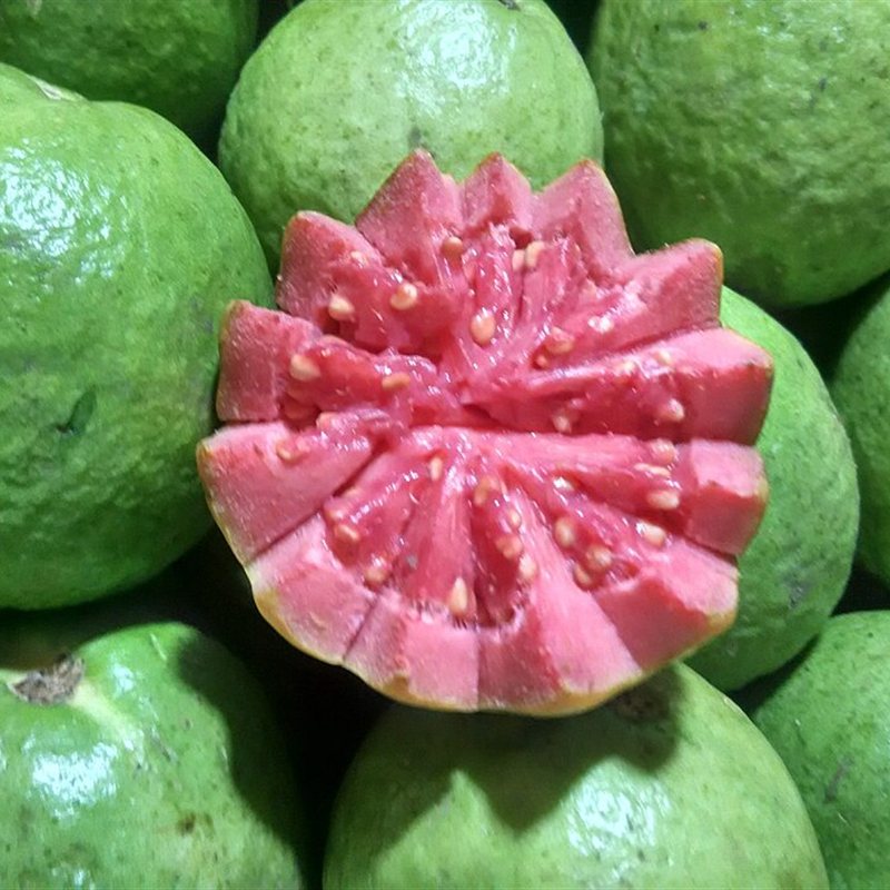 جوافة بنفسجي