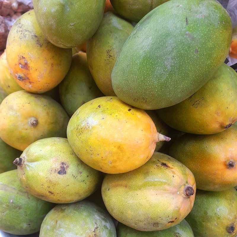 مانجو زبدية